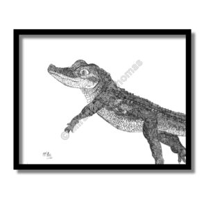 Gumbo Gator Charcoal